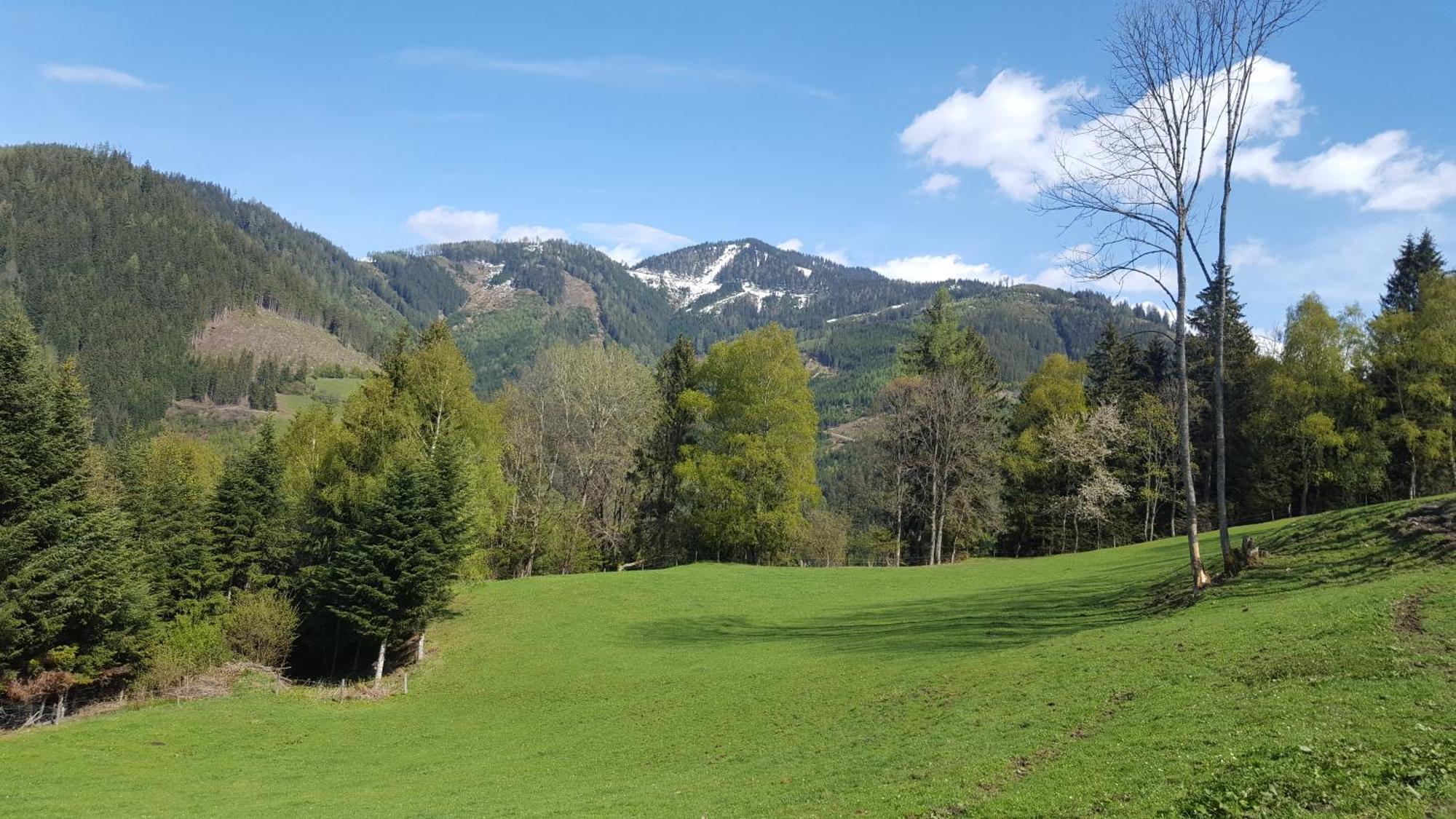 Kloiberhof Villa Oblarn Esterno foto