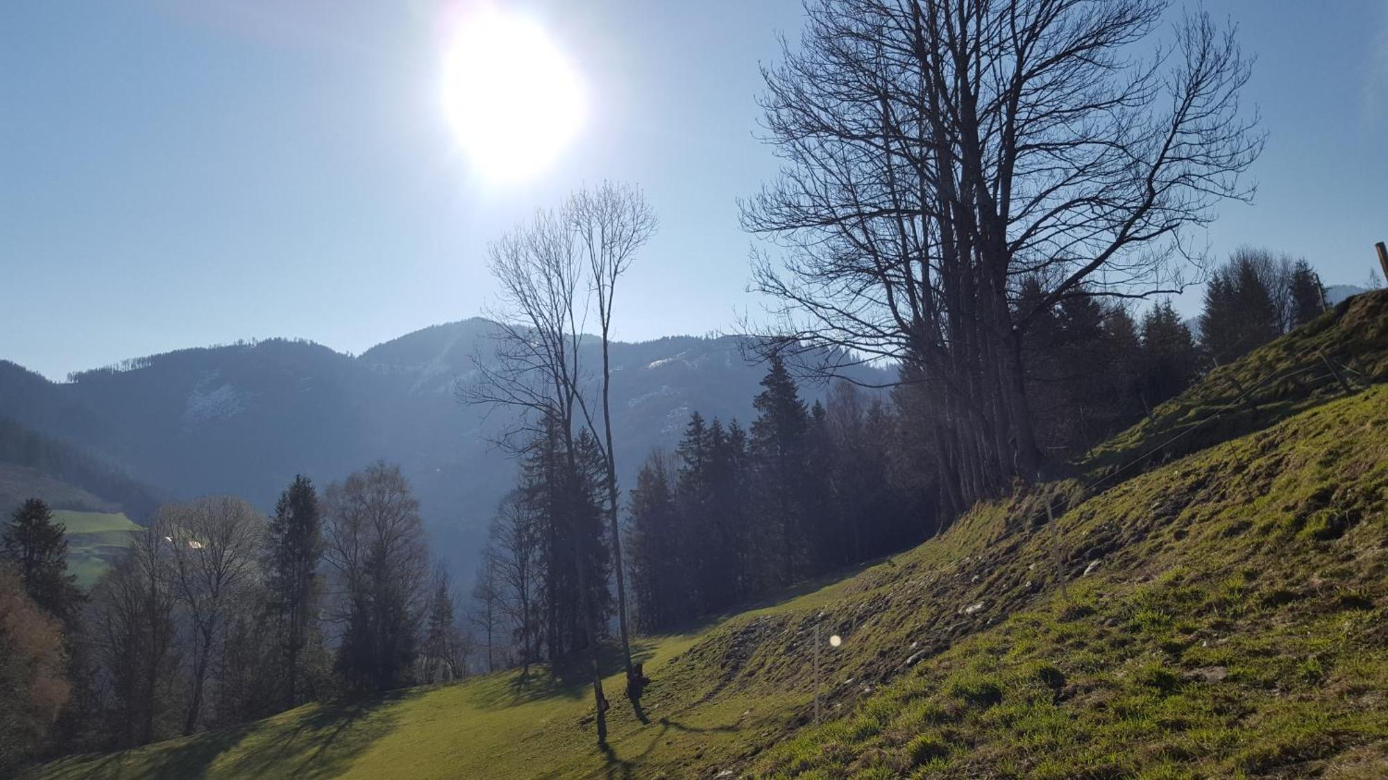 Kloiberhof Villa Oblarn Esterno foto